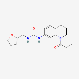 1-(1-Isobutyryl-1,2,3,4-tetrahydroquinolin-7-yl)-3-((tetrahydrofuran-2-yl)methyl)urea