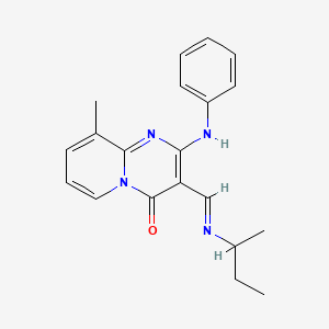 molecular formula C20H22N4O B2724763 (E)-3-((sec-butylimino)methyl)-9-methyl-2-(phenylamino)-4H-pyrido[1,2-a]pyrimidin-4-one CAS No. 326007-27-6