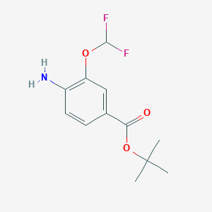 molecular formula C12H15F2NO3 B2725219 Tert-butyl 4-amino-3-(difluoromethoxy)benzoate CAS No. 2248355-14-6