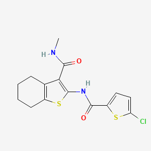 2-(5-chlorothiophene-2-carboxamido)-N-methyl-4,5,6,7-tetrahydrobenzo[b]thiophene-3-carboxamide