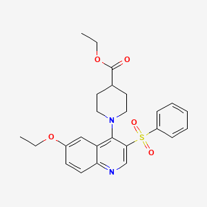 molecular formula C25H28N2O5S B2726111 Ethyl 1-(6-ethoxy-3-(phenylsulfonyl)quinolin-4-yl)piperidine-4-carboxylate CAS No. 895647-32-2