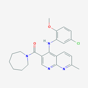 molecular formula C23H25ClN4O2 B2726379 Azepan-1-yl(4-((5-chloro-2-methoxyphenyl)amino)-7-methyl-1,8-naphthyridin-3-yl)methanone CAS No. 1251600-43-7