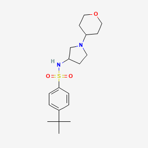 4-Tert-butyl-N-[1-(oxan-4-yl)pyrrolidin-3-yl]benzenesulfonamide