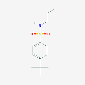 molecular formula C13H21NO2S B272883 4-tert-butyl-N-propylbenzenesulfonamide 