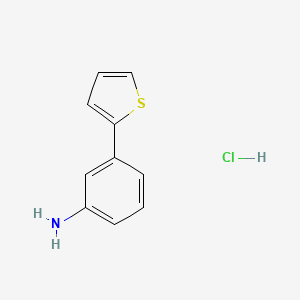 molecular formula C10H10ClNS B2728865 3-(Thiophen-2-yl)aniline hydrochloride CAS No. 1221722-03-7; 92057-12-0