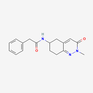 N-(2-methyl-3-oxo-2,3,5,6,7,8-hexahydrocinnolin-6-yl)-2-phenylacetamide