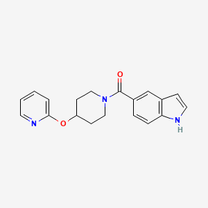 molecular formula C19H19N3O2 B2729930 (1H-indol-5-yl)(4-(pyridin-2-yloxy)piperidin-1-yl)methanone CAS No. 1448124-31-9