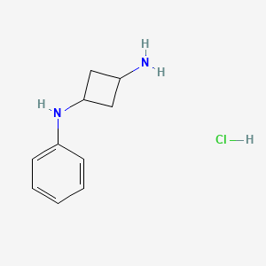 N1-phenylcyclobutane-1,3-diamine hydrochloride