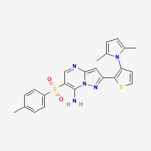 molecular formula C23H21N5O2S2 B2730663 2-[3-(2,5-dimethyl-1H-pyrrol-1-yl)-2-thienyl]-6-[(4-methylphenyl)sulfonyl]pyrazolo[1,5-a]pyrimidin-7-amine CAS No. 439108-96-0