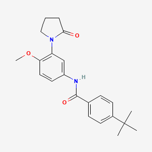molecular formula C22H26N2O3 B2731351 4-tert-butyl-N-[4-methoxy-3-(2-oxopyrrolidin-1-yl)phenyl]benzamide CAS No. 922904-20-9