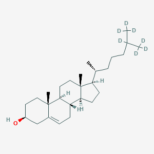 molecular formula C27H46O B027314 胆固醇-d7 CAS No. 83199-47-7