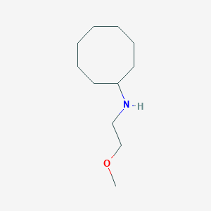 molecular formula C11H23NO B2731828 N-(2-methoxyethyl)cyclooctanamine CAS No. 252854-22-1