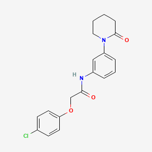 molecular formula C19H19ClN2O3 B2732523 2-(4-chlorophenoxy)-N-(3-(2-oxopiperidin-1-yl)phenyl)acetamide CAS No. 941978-92-3