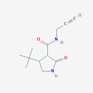 4-tert-butyl-2-oxo-N-(prop-2-yn-1-yl)pyrrolidine-3-carboxamide