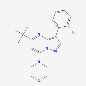 molecular formula C20H23ClN4O B2733413 4-[5-叔丁基-3-(2-氯苯基)吡唑并[1,5-a]嘧啶-7-基]吗啉 CAS No. 902009-19-2