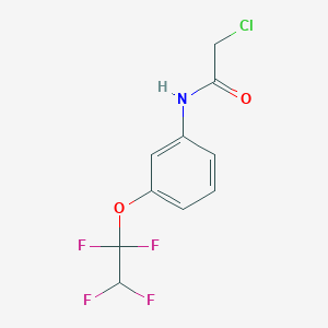 molecular formula C10H8ClF4NO2 B2733500 2-chloro-N-[3-(1,1,2,2-tetrafluoroethoxy)phenyl]acetamide CAS No. 1023531-85-2