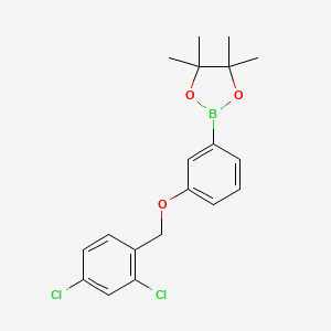 1,3,2-Dioxaborolane, 2-[3-[(2,4-dichlorophenyl)methoxy]phenyl]-4,4,5,5-tetramethyl-
