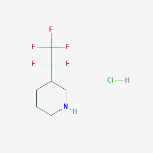 molecular formula C7H11ClF5N B2733824 3-(1,1,2,2,2-Pentafluoroethyl)piperidine;hydrochloride CAS No. 2361725-61-1