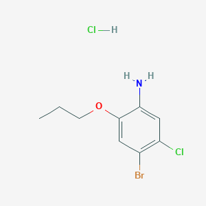4-Bromo-5-chloro-2-propoxyaniline HCl