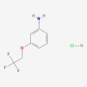 molecular formula C8H9ClF3NO B2734915 3-(2,2,2-Trifluoroethoxy)aniline hydrochloride CAS No. 1049756-13-9