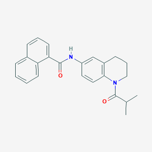 molecular formula C24H24N2O2 B2735533 N-(1-异丁酰-1,2,3,4-四氢喹啉-6-基)-1-萘酰胺 CAS No. 955792-99-1