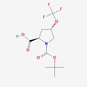 (2R,4S)-1-[(2-Methylpropan-2-yl)oxycarbonyl]-4-(trifluoromethoxy)pyrrolidine-2-carboxylic acid