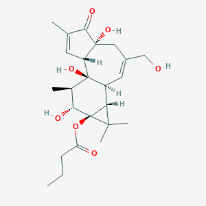 molecular formula C24H34O7 B027364 佛波醇 13-丁酸酯 CAS No. 100929-94-0