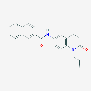 molecular formula C23H22N2O2 B2736915 N-(2-oxo-1-propyl-1,2,3,4-tetrahydroquinolin-6-yl)-2-naphthamide CAS No. 941991-06-6