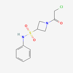molecular formula C11H13ClN2O3S B2738060 1-(2-Chloroacetyl)-N-phenylazetidine-3-sulfonamide CAS No. 2411277-73-9