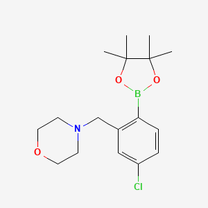 molecular formula C17H25BClNO3 B2738281 4-氯-2-(吗啉甲基)苯硼酸, 松果醇酯 CAS No. 2096329-91-6