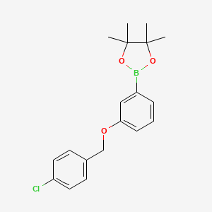 1,3,2-Dioxaborolane, 2-[3-[(4-chlorophenyl)methoxy]phenyl]-4,4,5,5-tetramethyl-
