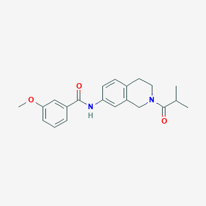 molecular formula C21H24N2O3 B2738532 N-(2-异丁酰-1,2,3,4-四氢异喹啉-7-基)-3-甲氧基苯甲酰胺 CAS No. 955664-11-6