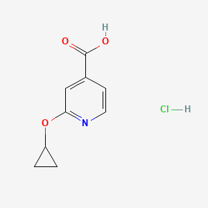 2-Cyclopropyloxypyridine-4-carboxylic acid;hydrochloride