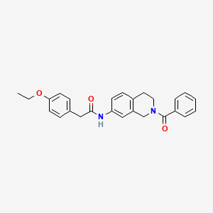 N-(2-benzoyl-1,2,3,4-tetrahydroisoquinolin-7-yl)-2-(4-ethoxyphenyl)acetamide