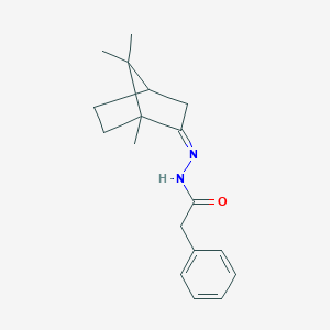 molecular formula C18H24N2O B273895 2-phenyl-N'-(1,7,7-trimethylbicyclo[2.2.1]hept-2-ylidene)acetohydrazide 