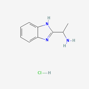 molecular formula C9H12ClN3 B2739301 1-(1H-benzimidazol-2-yl)ethanamine hydrochloride CAS No. 73042-50-9; 74461-35-1; 853789-10-3