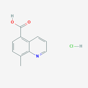 molecular formula C11H10ClNO2 B2739795 8-甲基喹啉-5-甲酸; 盐酸 CAS No. 2344685-21-6
