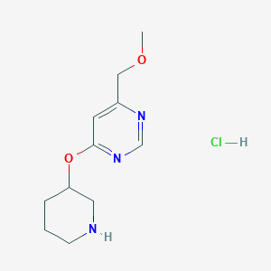 molecular formula C11H18ClN3O2 B2739815 4-(甲氧基甲基)-6-(哌啶-3-基氧基)嘧啶 盐酸 CAS No. 1707580-72-0