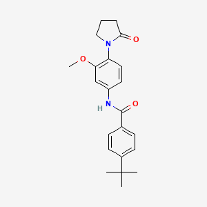 molecular formula C22H26N2O3 B2740141 4-tert-butyl-N-[3-methoxy-4-(2-oxopyrrolidin-1-yl)phenyl]benzamide CAS No. 923103-32-6