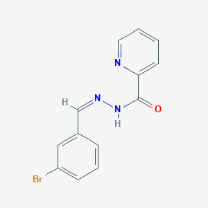 molecular formula C13H10BrN3O B274057 N-[(Z)-(3-bromophenyl)methylideneamino]pyridine-2-carboxamide 