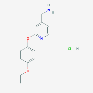 [2-(4-Ethoxyphenoxy)pyridin-4-yl]methanamine;hydrochloride