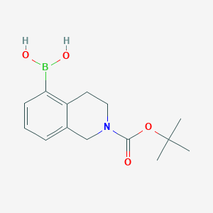 2-(Tert-butoxycarbonyl)-1,2,3,4-tetrahydroisoquinolin-5-ylboronic acid
