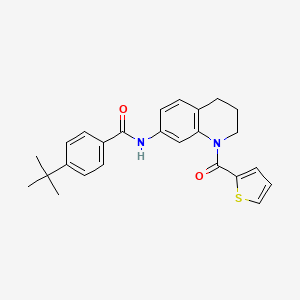 4-tert-butyl-N-[1-(thiophene-2-carbonyl)-3,4-dihydro-2H-quinolin-7-yl]benzamide