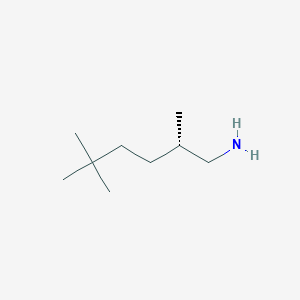 molecular formula C9H21N B2743122 (2S)-2,5,5-Trimethylhexan-1-amine CAS No. 2248199-71-3