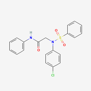 2-[4-chloro(phenylsulfonyl)anilino]-N-phenylacetamide