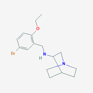 N-(5-bromo-2-ethoxybenzyl)-1-azabicyclo[2.2.2]octan-3-amine