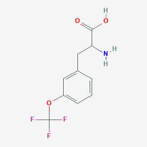 2-amino-3-[3-(trifluoromethoxy)phenyl]propanoic Acid