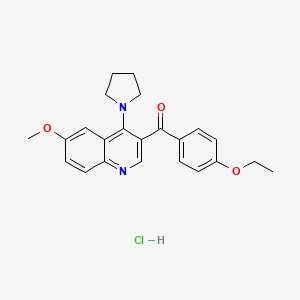3-(4-Ethoxybenzoyl)-6-methoxy-4-(pyrrolidin-1-yl)quinoline hydrochloride