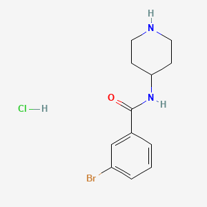 molecular formula C12H16BrClN2O B2745123 3-Bromo-N-(piperidine-4-yl)benzamido hydrochloride CAS No. 1233958-97-8; 503464-88-8