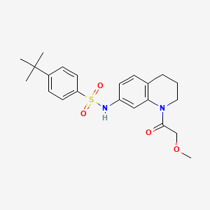 molecular formula C22H28N2O4S B2746143 4-(叔丁基)-N-(1-(2-甲氧基乙酰)-1,2,3,4-四氢喹啉-7-基)苯甲磺酰胺 CAS No. 1172833-98-5